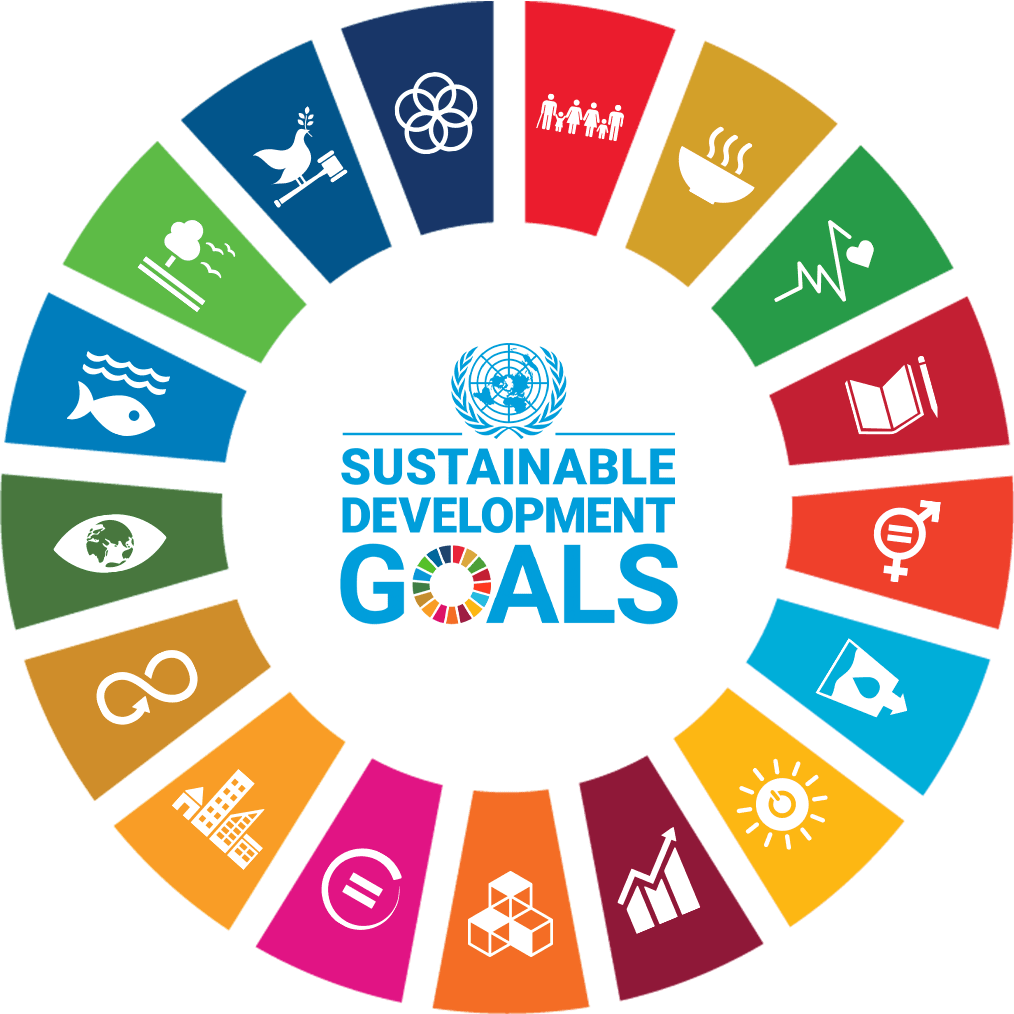 The UN Sustainable Development Goals (SDGs)